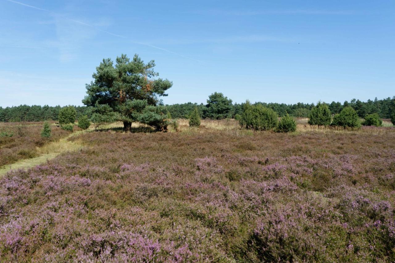 Camping-Aller-Leine-Tal Engehausen Exteriör bild